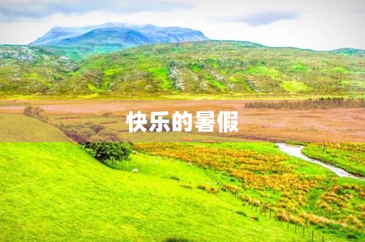 快乐的暑假