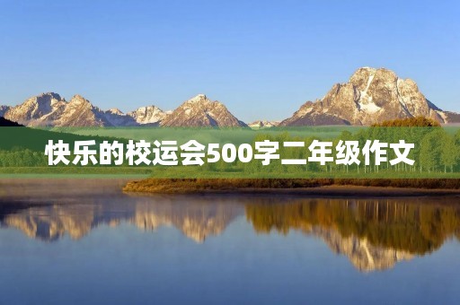 快乐的校运会500字二年级作文