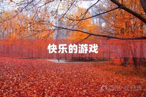 快乐的游戏