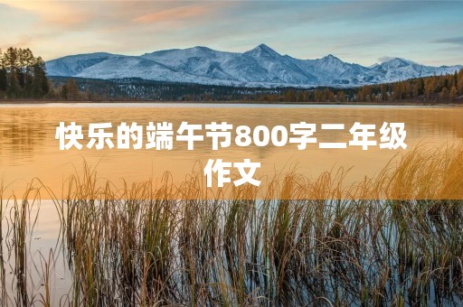 快乐的端午节800字二年级作文