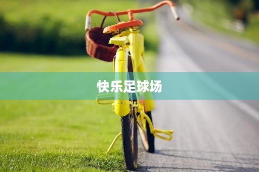 快乐足球场