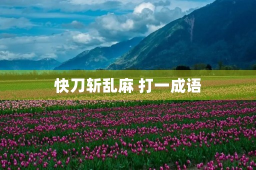 快刀斩乱麻 打一成语
