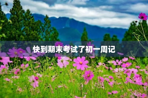 快到期末考试了初一周记 快到期末考试了初一周记
