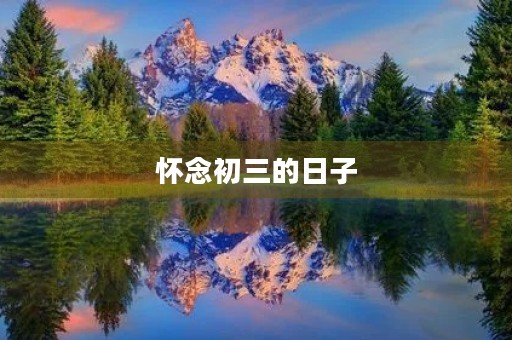 怀念初三的日子