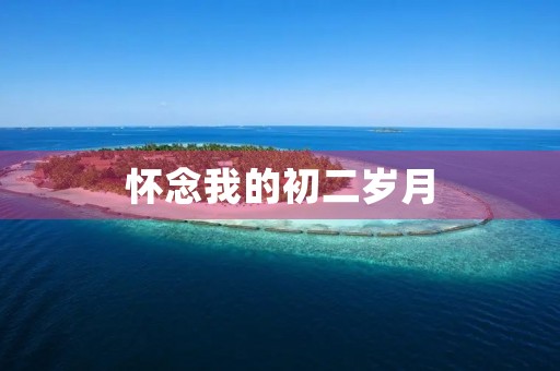 怀念我的初二岁月 怀念我的初二岁月