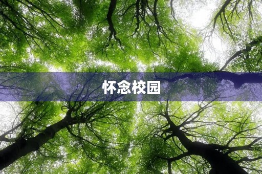 怀念校园，感谢母校