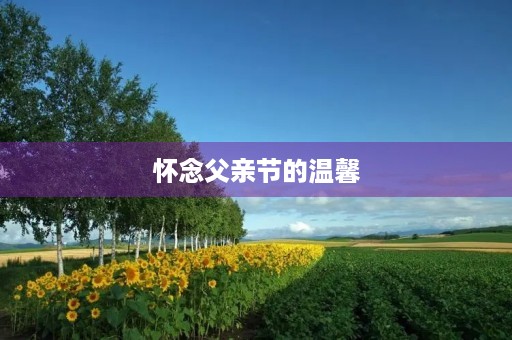 怀念父亲节的温馨 怀念父亲节的温馨