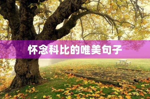 怀念科比的唯美句子(怀念科比的唯美句子英文)