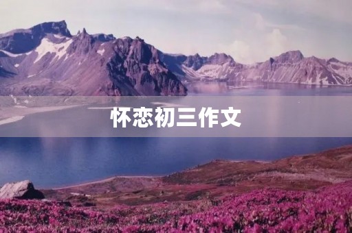 怀恋初三作文