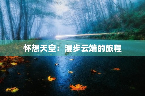 怀想天空:漫步云端的旅程 怀想天空:漫步云端的旅程