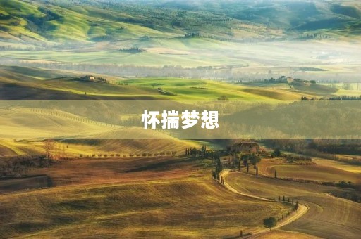 怀揣梦想，砥砺前行——关于坚持的议论文