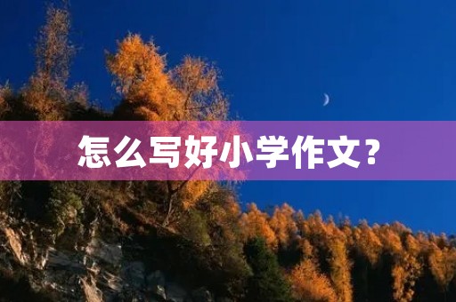 怎么写好小学作文? 怎么写好小学作文?
