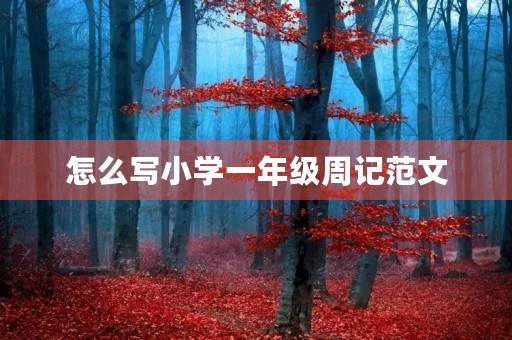 怎么写小学一年级周记范文 怎么写小学一年级周记范文