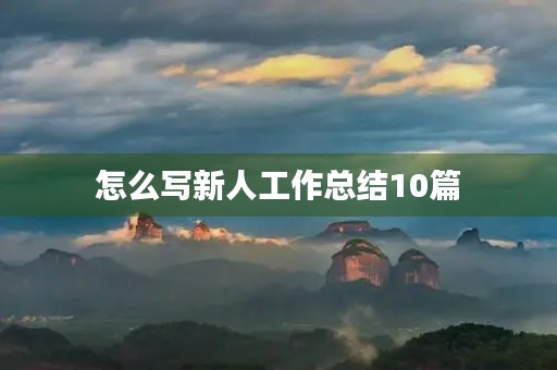 怎么写新人工作总结10篇