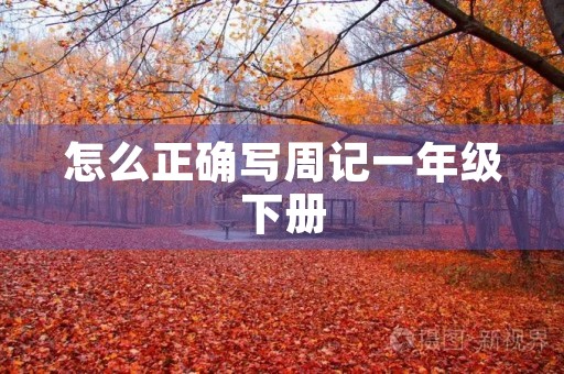 怎么正确写周记一年级下册