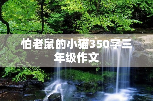 怕老鼠的小猫350字三年级作文 怕老鼠的小猫350字三年级作文