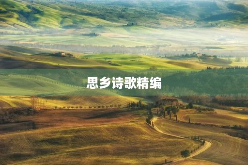思乡诗歌精编