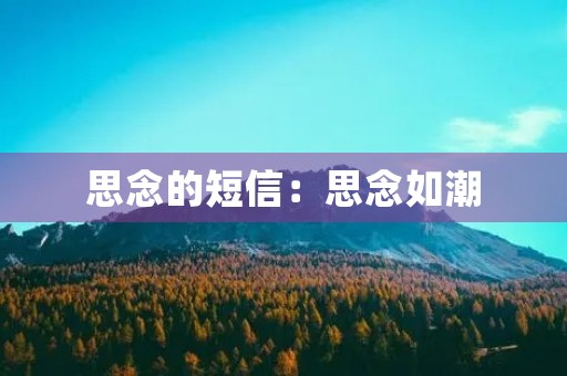 思念的短信：思念如潮，短信传情
