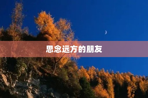 思念远方的朋友 思念远方的朋友