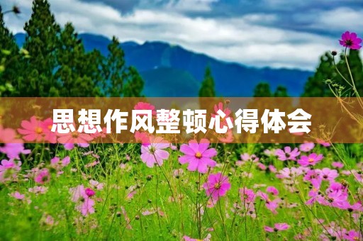 思想作风整顿心得体会