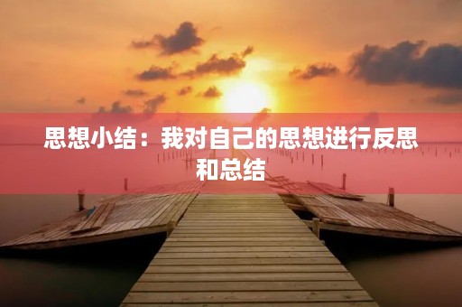 思想小结：我对自己的思想进行反思和总结