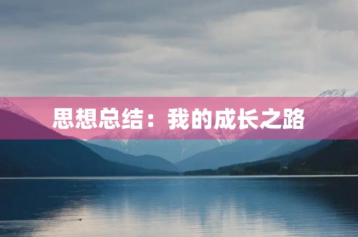 思想总结:我的成长之路 思想总结:我的成长之路