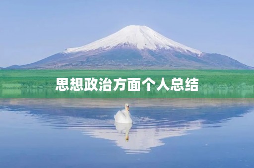 思想政治方面个人总结
