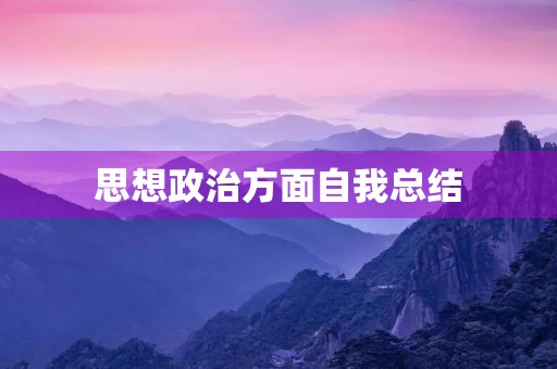 思想政治方面自我总结