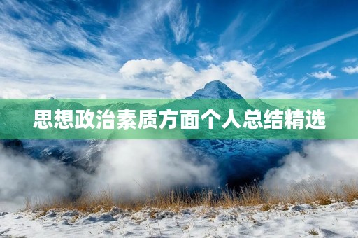 思想政治素质方面个人总结精选
