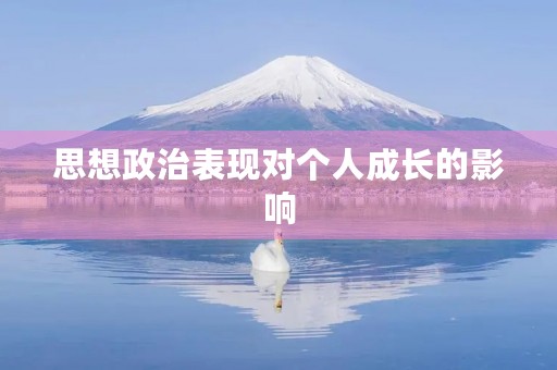 思想政治表现对个人成长的影响