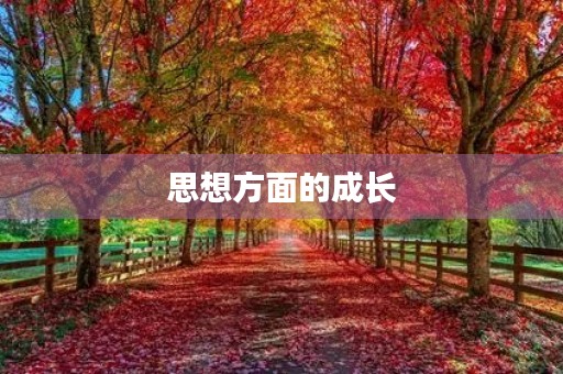 思想方面的成长