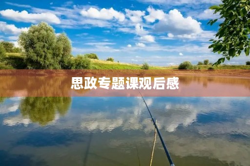 思政专题课观后感