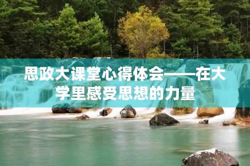 思政大课堂心得体会——在大学里感受思想的力量