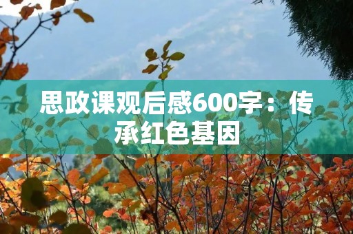 思政课观后感600字：传承红色基因，弘扬爱国主义精神