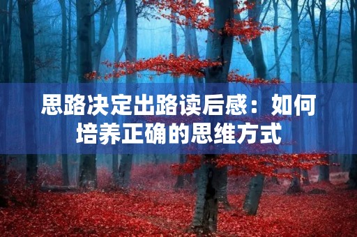 思路决定出路读后感：如何培养正确的思维方式