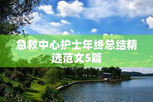 急救中心护士年终总结精选范文5篇