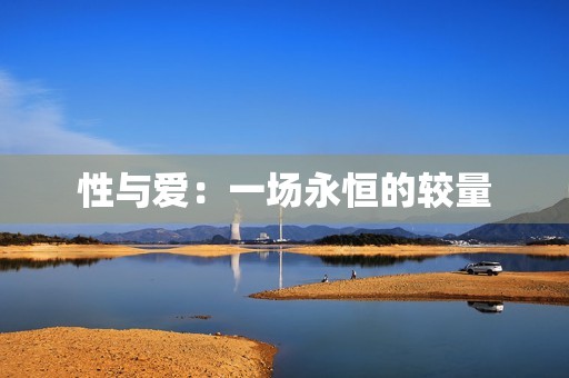 性与爱：一场永恒的较量