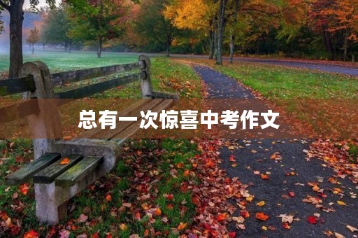 总有一次惊喜中考作文 总有一次惊喜中考作文