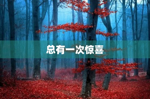 总有一次惊喜,让生活变得更加精彩 总有一次惊喜,让生活变得更加精彩