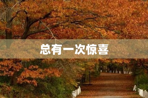 总有一次惊喜