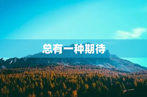 总有一种期待,等待着你的到来 总有一种期待,等待着你的到来