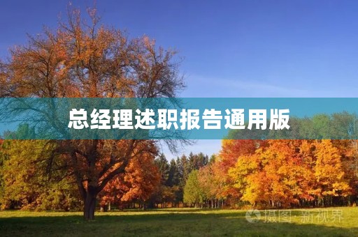 总经理述职报告通用版