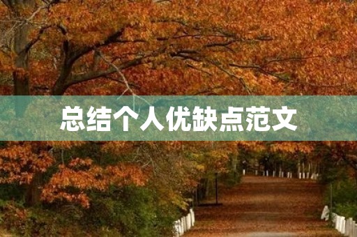 总结个人优缺点范文