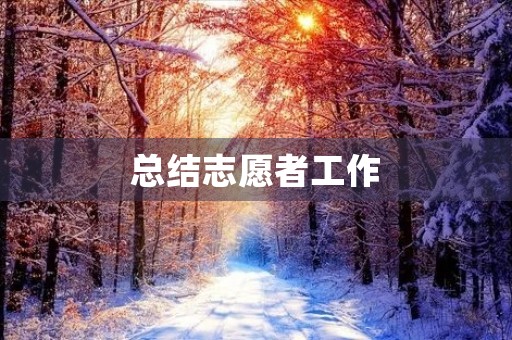 总结志愿者工作