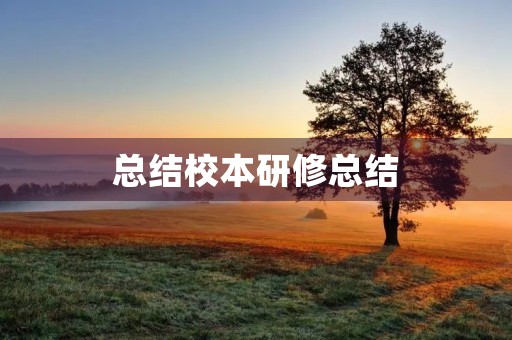 总结校本研修总结