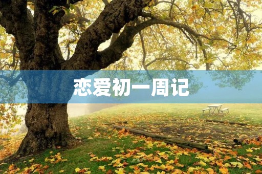 恋爱初一周记