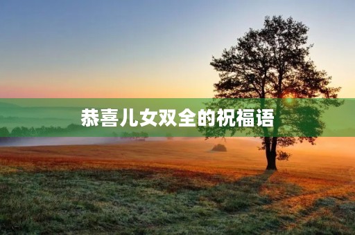 恭喜儿女双全的祝福语,儿女双全四字佳句