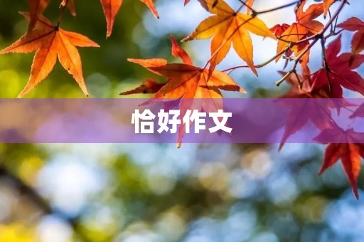 恰好作文，我的写作之路