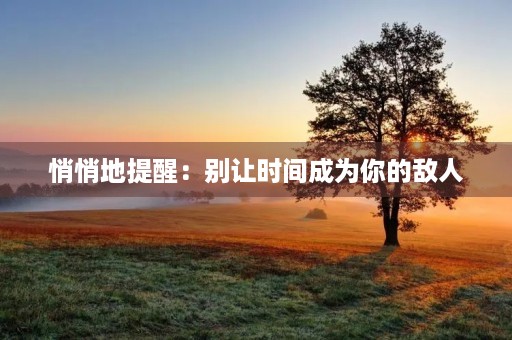 悄悄地提醒：别让时间成为你的敌人