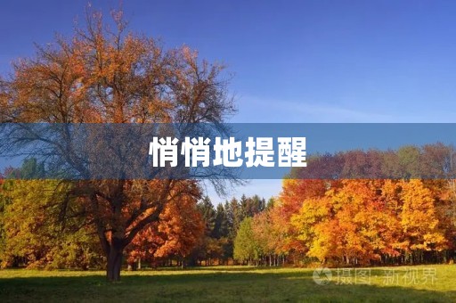 悄悄地提醒 悄悄地提醒